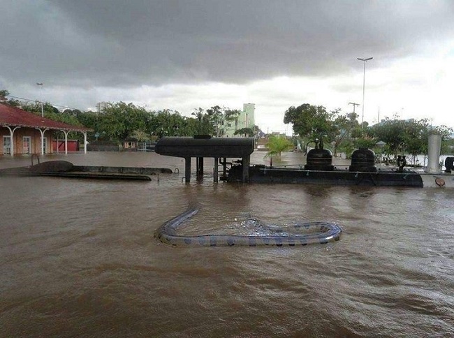 snake in water